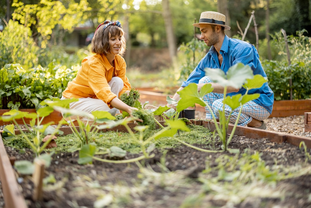 Un jardin bien soigné : votre meilleur argument de vente